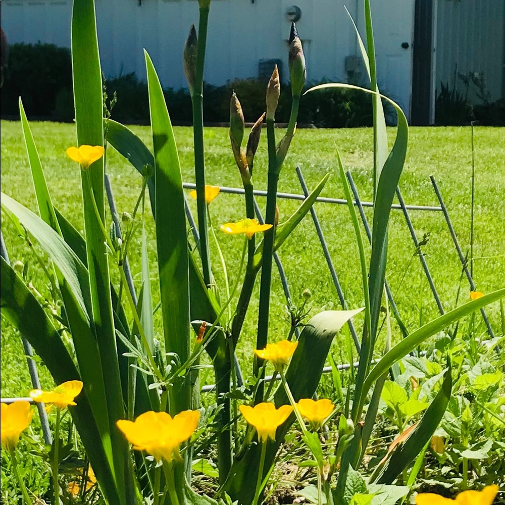 Meet your Posher, Tracy